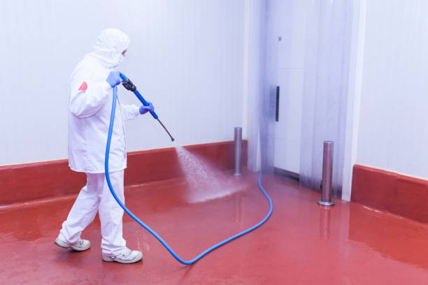 Best Building Exterior Washing  in Ste Genevieve, MO